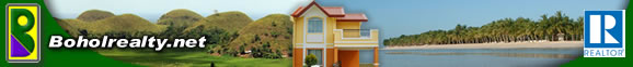 Bohol Realty - Panglao beach property - affordable house and Lot - overlooking view - commercial property - investment property